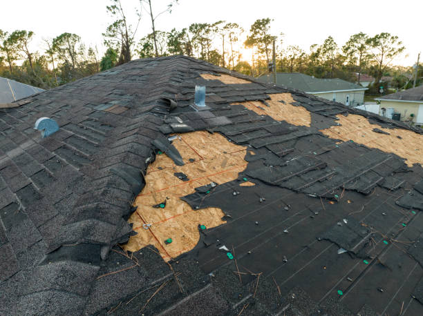Best Sheet Metal Roofing  in Dos Palos, CA