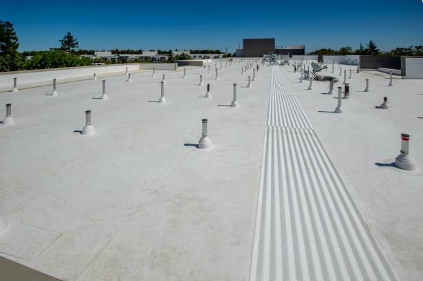 Best Roof Maintenance and Cleaning  in Dos Palos, CA